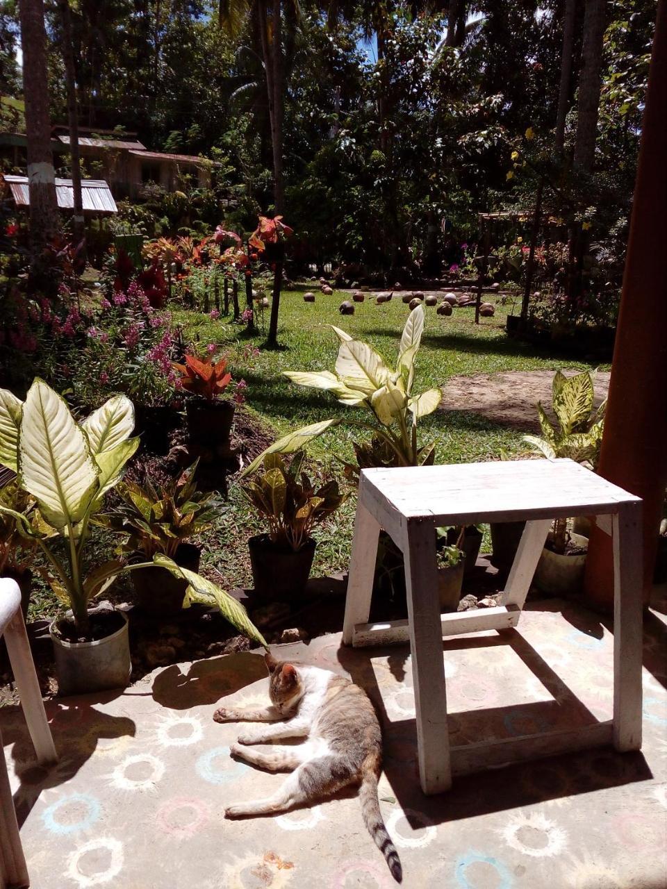 Batuan Hammock Hostel Exterior photo